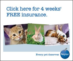 Get Pet Insurance With Pet Plan